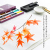 Boku-Undo 15504 Japanese Gansai Watercolor Paint, 12 Color Set