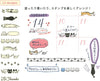 Midori 35380-006 Rotating Paintable Stamp, Cat Pattern, 10 Designs
