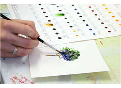 Winsor & Newton 0308 Series 1 Cotman Water Color Paint, 21 ml Tube