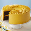 Wilton 417-1648 Decorate Smart Icing Smoother